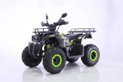 Квадроцикл Yacota (Якота) WARRIOR 200 чёрный (машинокомплект)