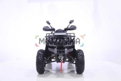 Квадроцикл Yacota (Якота) WARRIOR 200 PRO зелёный (машинокомплект)