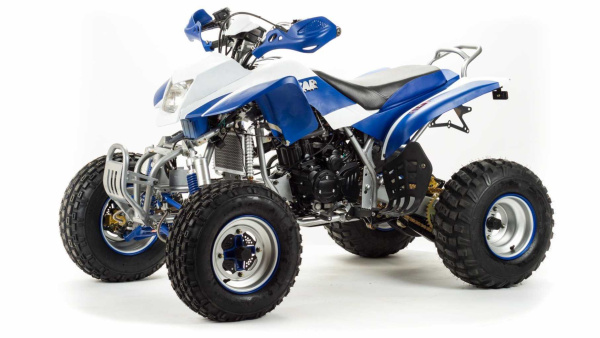 Квадроцикл MotoLand (Мотолэнд) 250 DAKAR (машинокомплект)