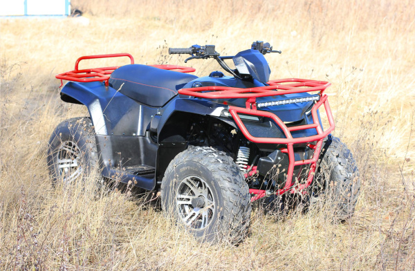 Квадроцикл IRBIS (Ирбис) ATV 250 2023 красный с ПСМ | Мототека